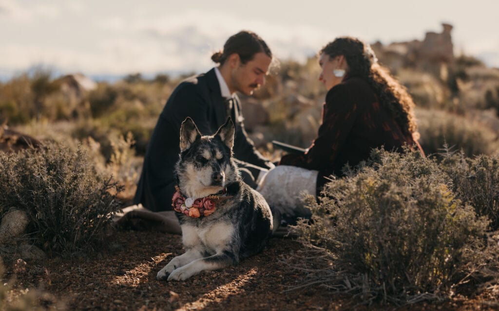 The couple's dog Blue sits near them as they read their private vows.