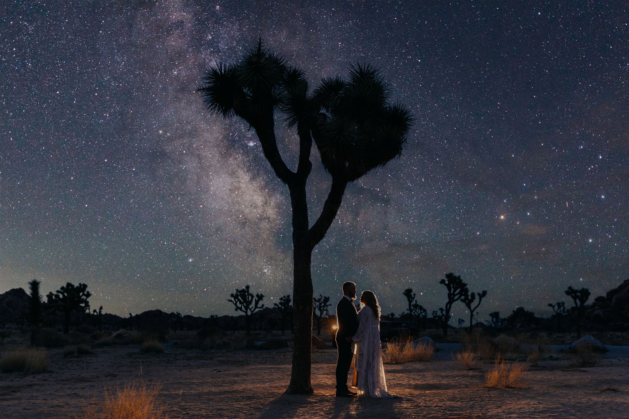 A couple explores Joshua Tree under the stars on their elopement night.