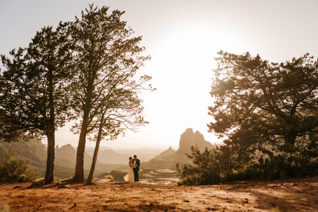 a couple stands between two large trees in the desert.