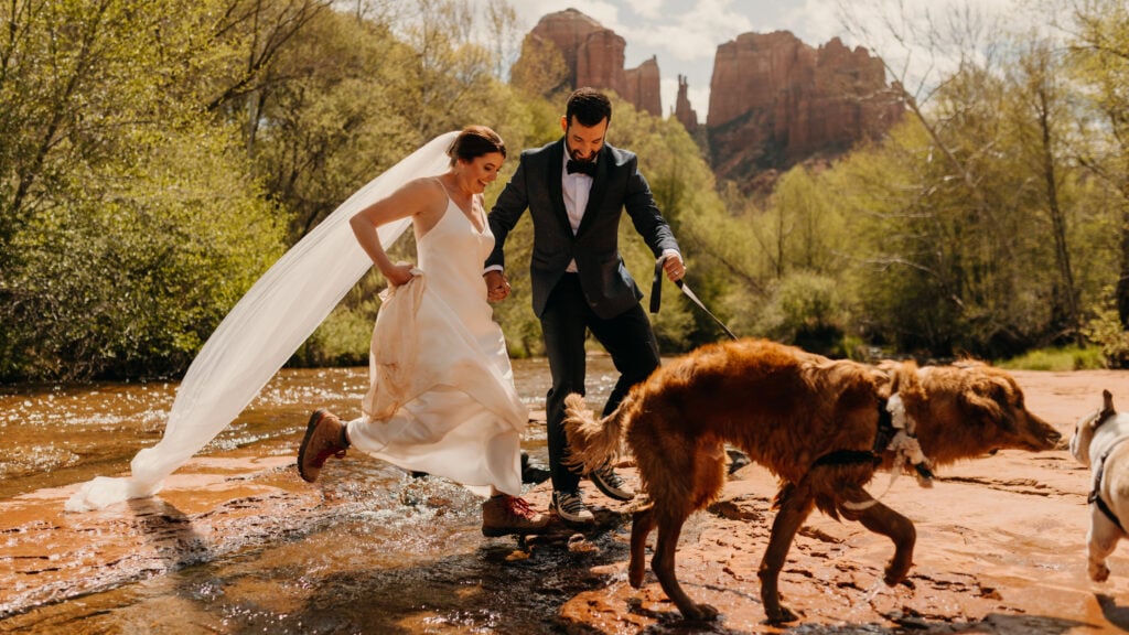 A couple crosses a creek with their dogs on a sunny day.