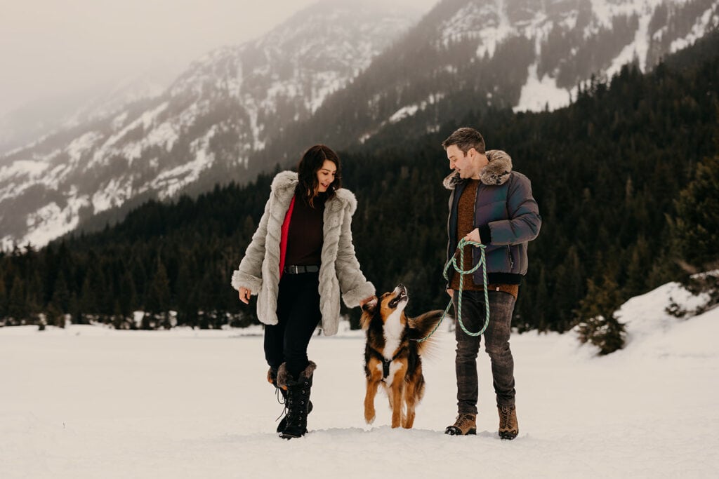 A couple walks with their dog on a snowy day in Washington.