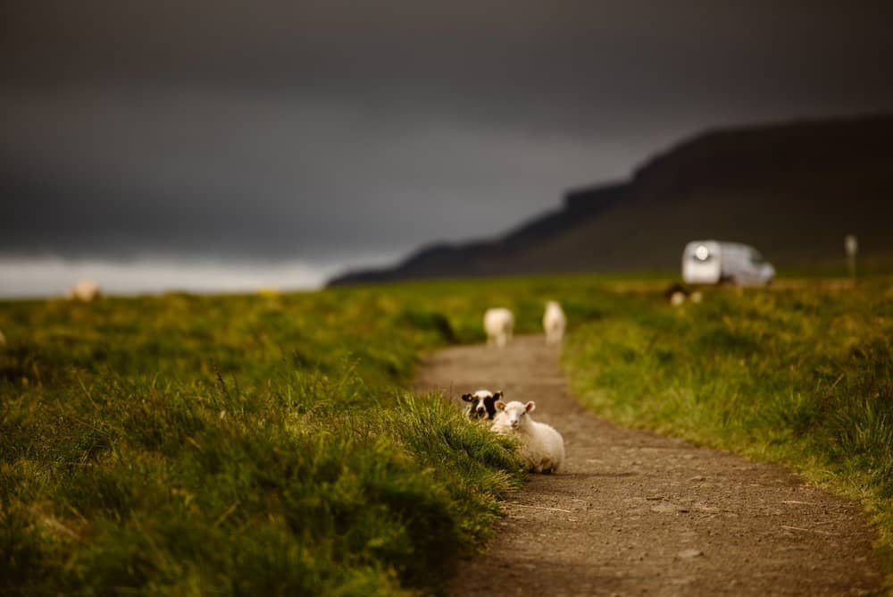 where-to-park-campervan-iceland