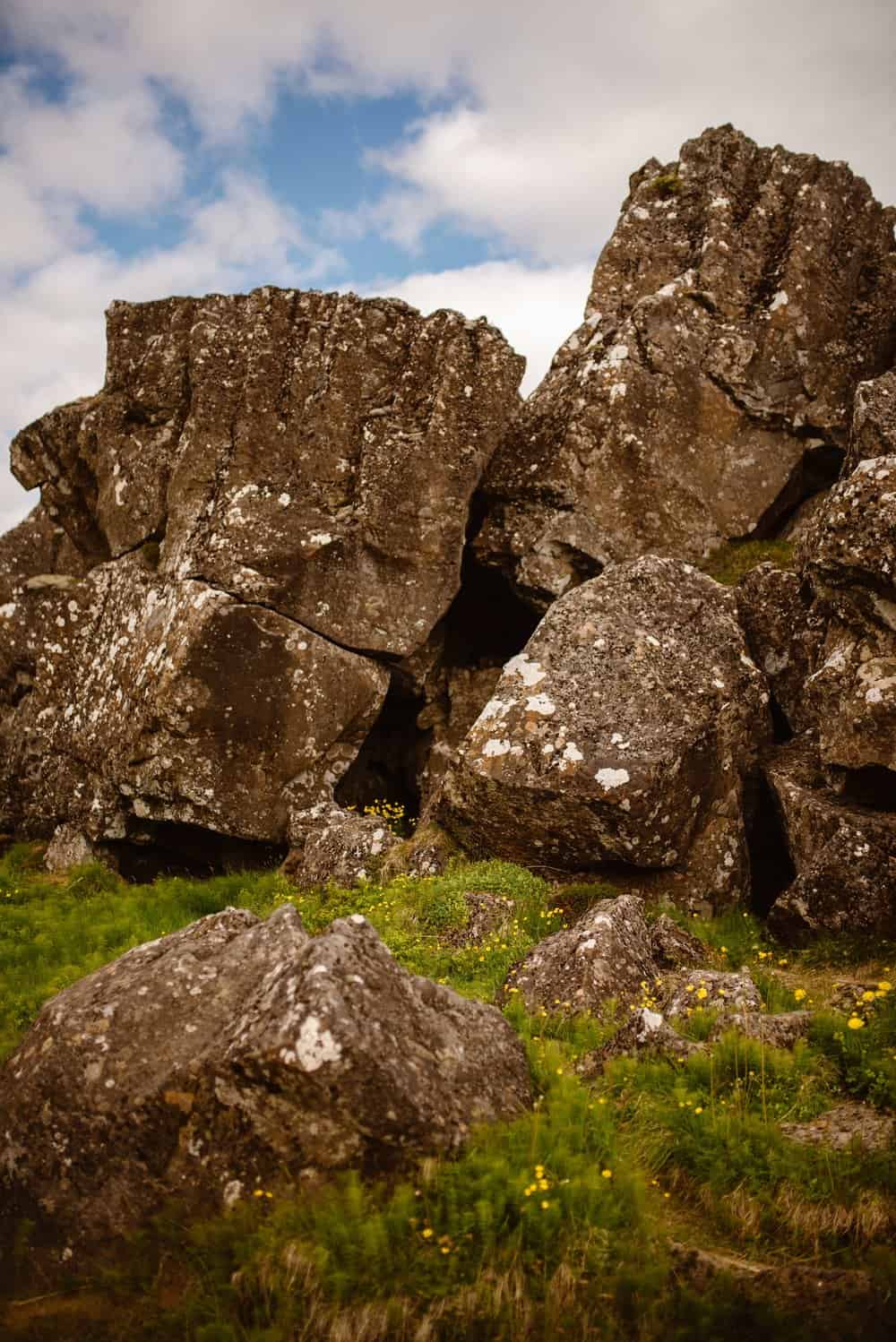 Rocking coming out of the green grass.