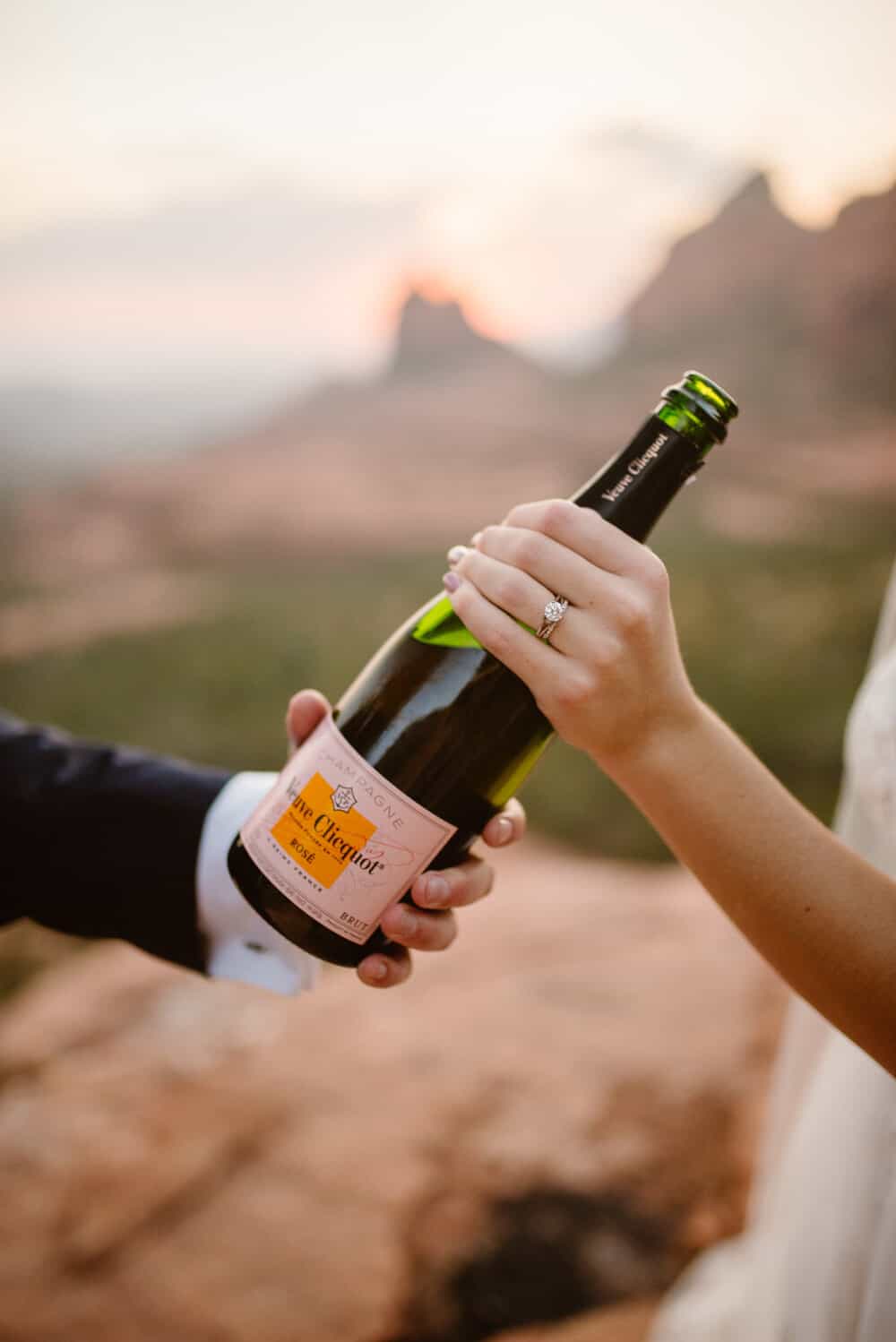wedding-at-merry-go-round