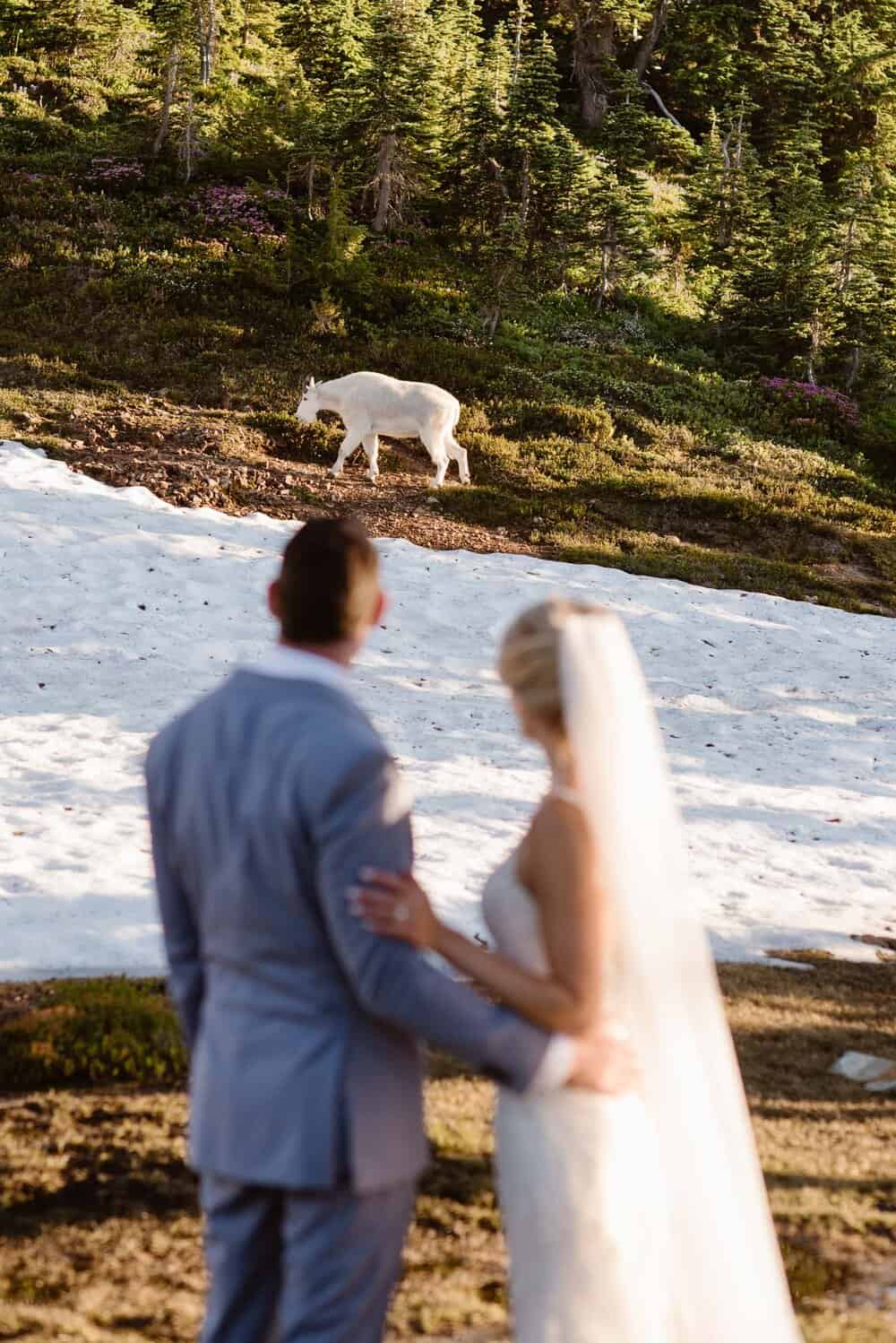 mount-rainier-elopement