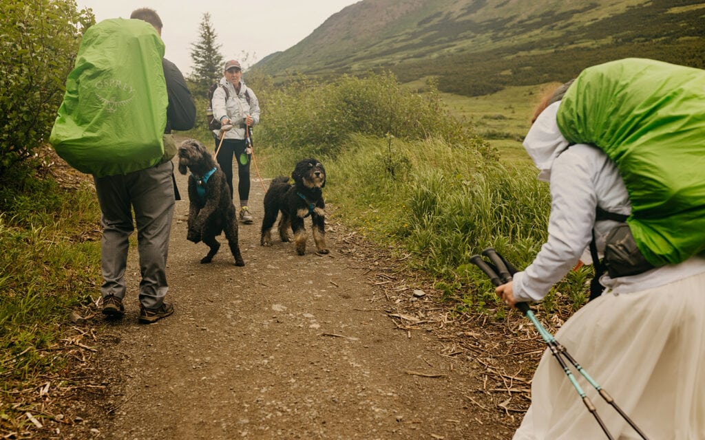 The bride and groom are meeted by their dog on the trial. 