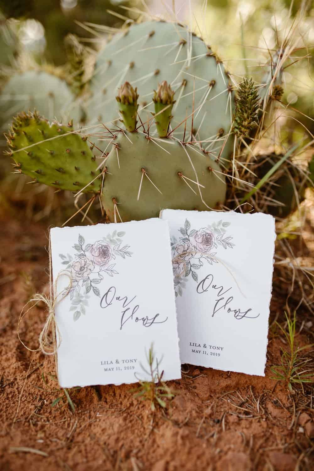 Two vow books lean agains a cactus.